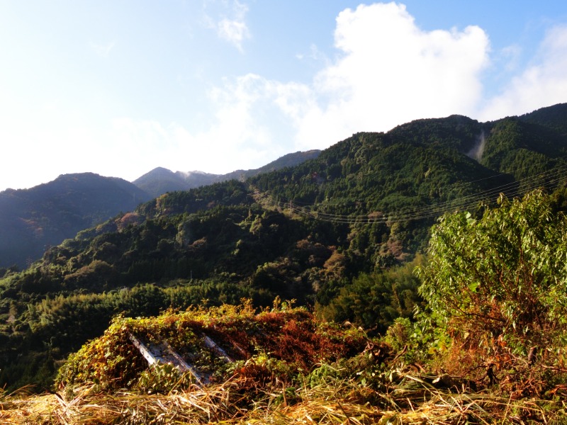 温泉登山トラベラーさんの駿河健康ランドのサ活写真