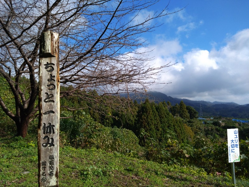 温泉登山トラベラーさんの駿河健康ランドのサ活写真