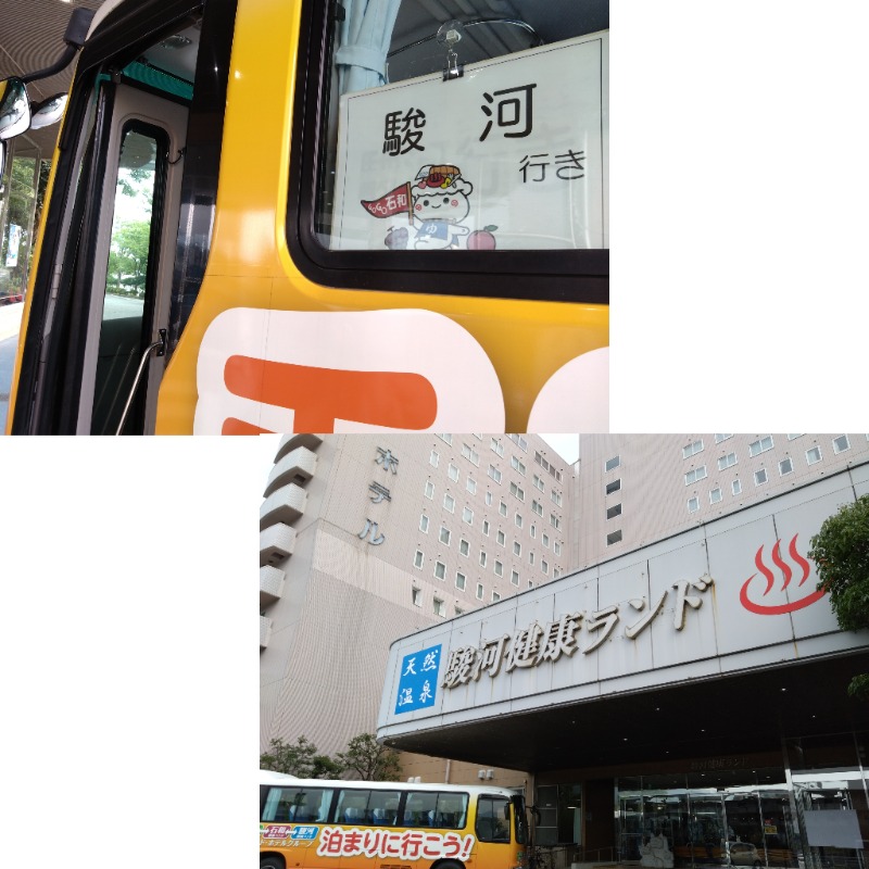 温泉登山トラベラーさんの駿河健康ランドのサ活写真