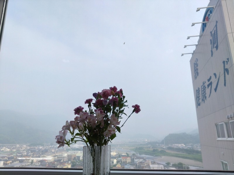 温泉登山トラベラーさんの駿河健康ランドのサ活写真