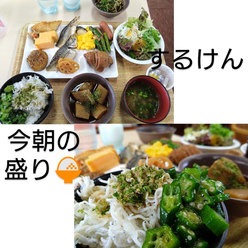 温泉登山トラベラーさんの駿河健康ランドのサ活写真