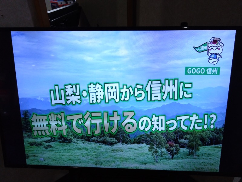 温泉登山トラベラーさんの駿河健康ランドのサ活写真