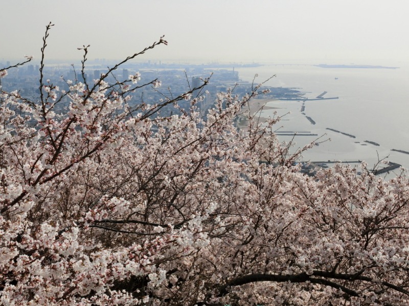 温泉登山トラベラーさんの明石大蔵海岸 龍の湯のサ活写真