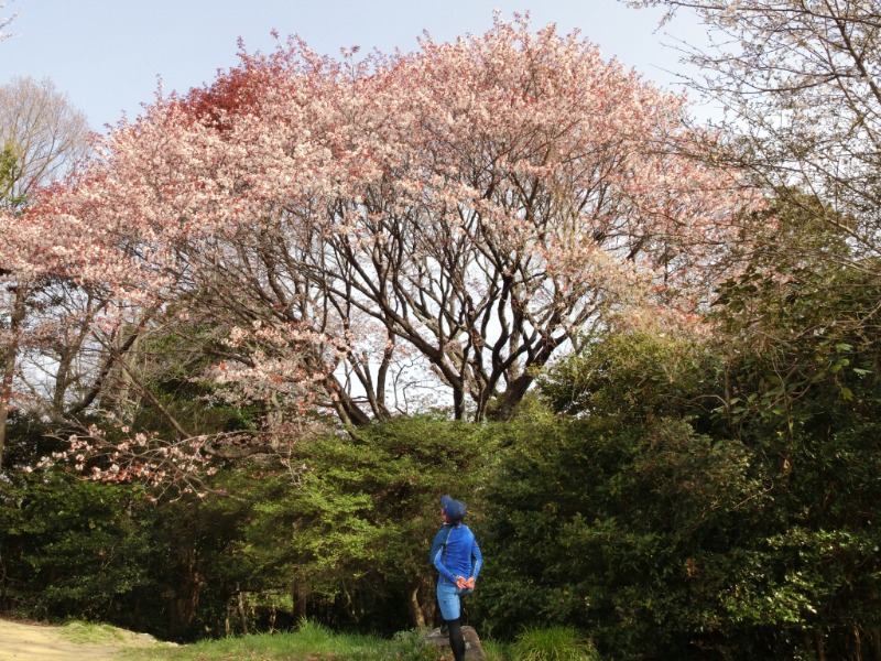温泉登山トラベラーさんの明石大蔵海岸 龍の湯のサ活写真