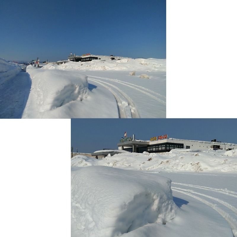 温泉登山トラベラーさんのあおもり健康ランドのサ活写真