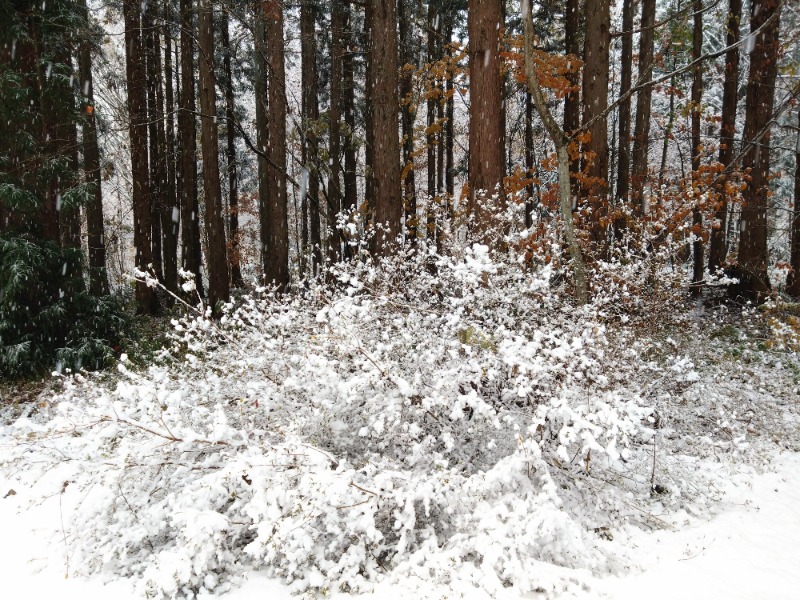 温泉登山トラベラーさんのまちなか温泉青森センターホテルのサ活写真