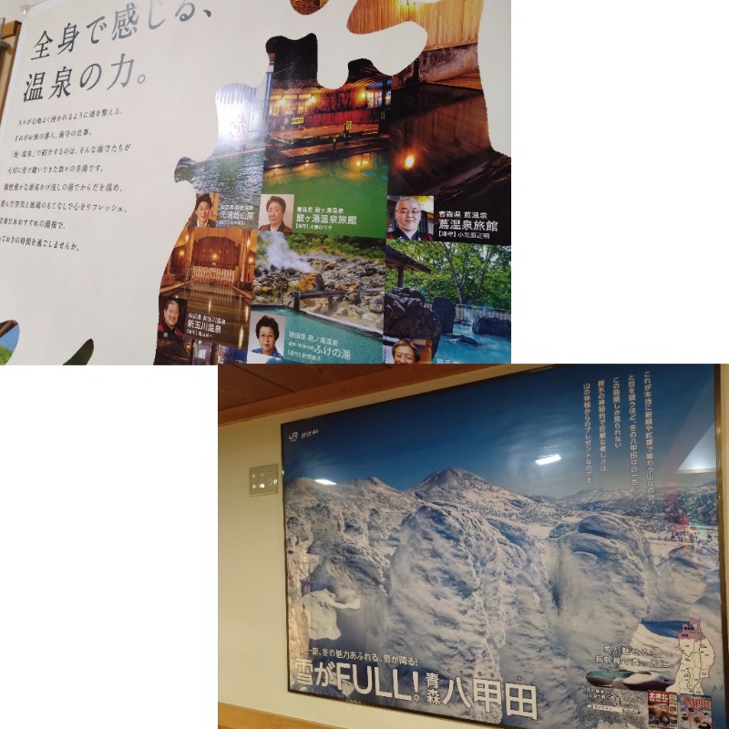 温泉登山トラベラーさんのまちなか温泉青森センターホテルのサ活写真