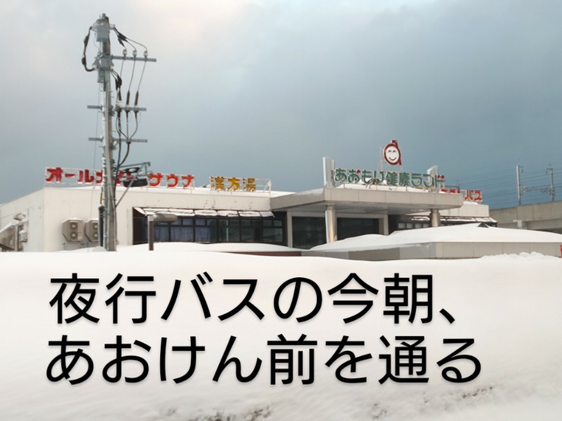 温泉登山トラベラーさんのまちなか温泉青森センターホテルのサ活写真