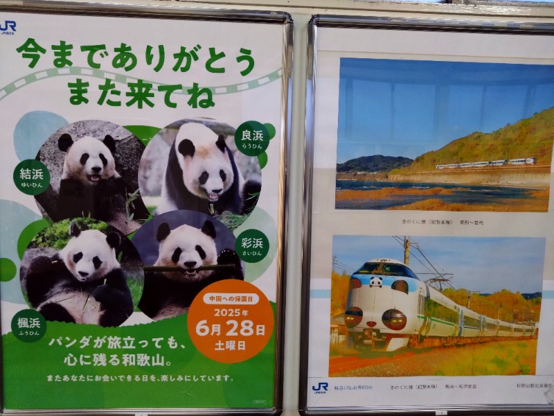 温泉登山トラベラーさんの天然紀三井寺温泉花の湯 ガーデンホテルはやしのサ活写真