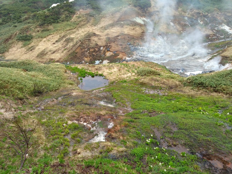 温泉登山トラベラーさんの後生掛温泉のサ活写真