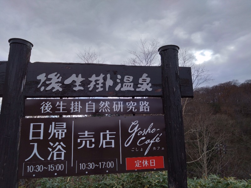 温泉登山トラベラーさんの後生掛温泉のサ活写真