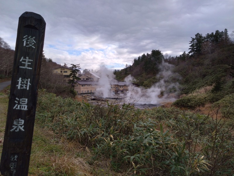 温泉登山トラベラーさんの後生掛温泉のサ活写真