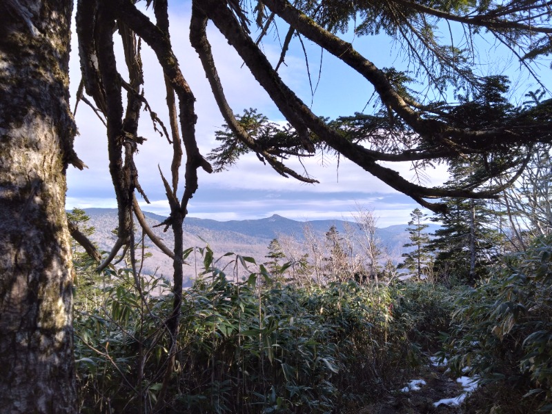 温泉登山トラベラーさんの後生掛温泉のサ活写真