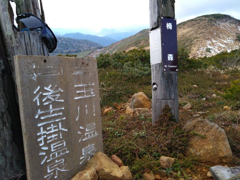 温泉登山トラベラーさんの後生掛温泉のサ活写真