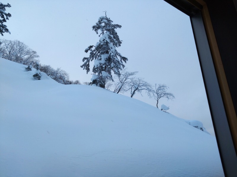 温泉登山トラベラーさんの後生掛温泉のサ活写真