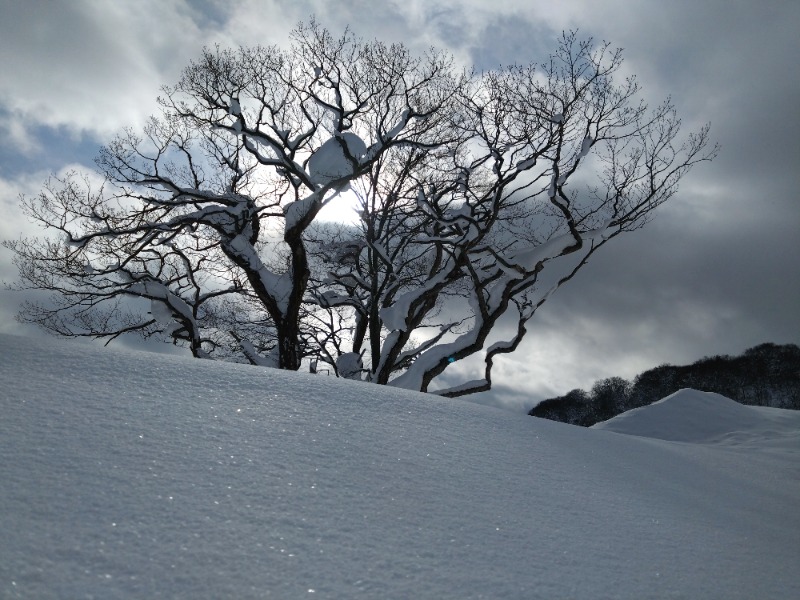 温泉登山トラベラーさんの後生掛温泉のサ活写真