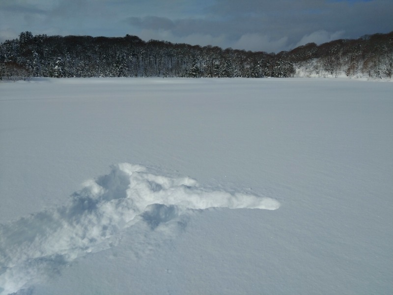 温泉登山トラベラーさんの後生掛温泉のサ活写真