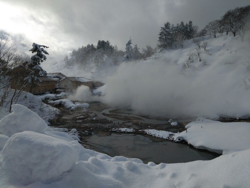 温泉登山トラベラーさんの後生掛温泉のサ活写真