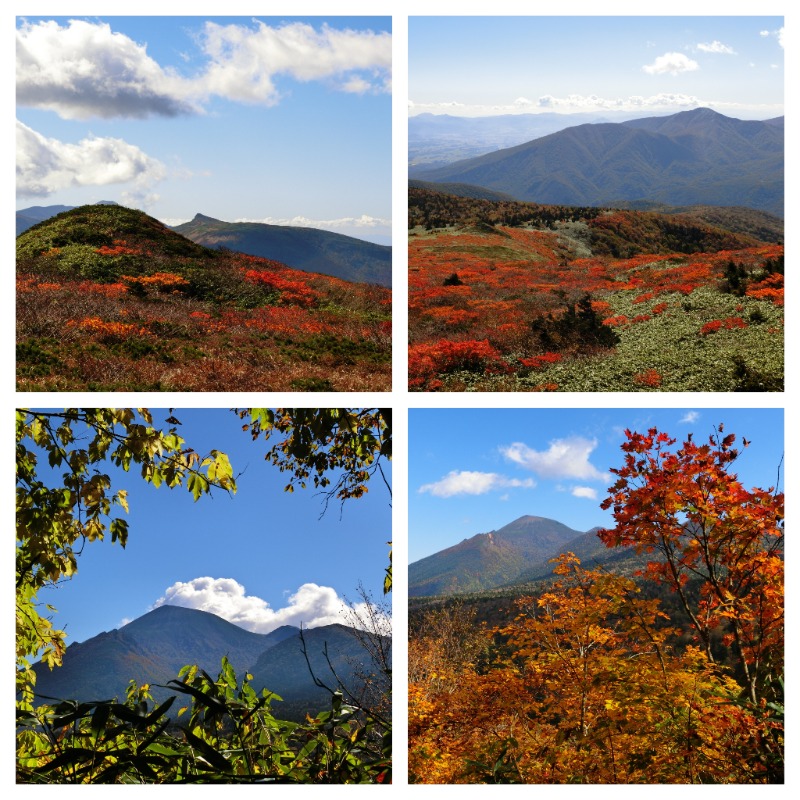 温泉登山トラベラーさんの八幡平温泉館 森乃湯のサ活写真