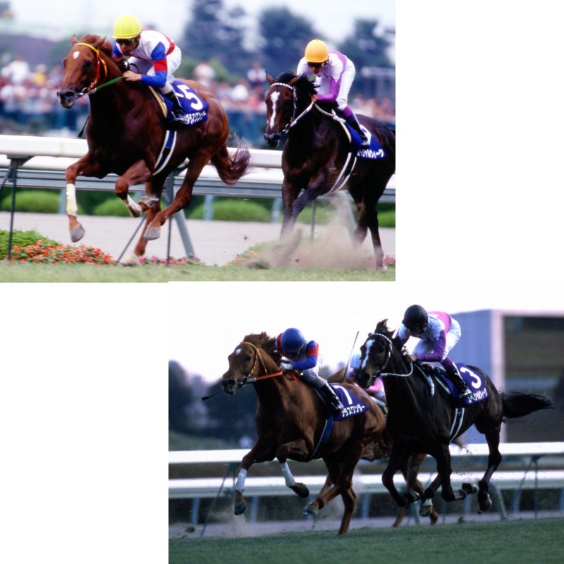 温泉登山トラベラーさんの大森湯のサ活写真