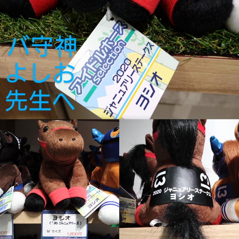 温泉登山トラベラーさんの大森湯のサ活写真