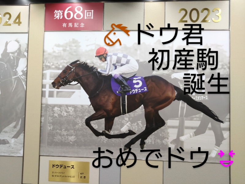 温泉登山トラベラーさんの大森湯のサ活写真