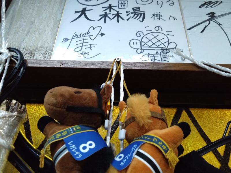 温泉登山トラベラーさんの大森湯のサ活写真