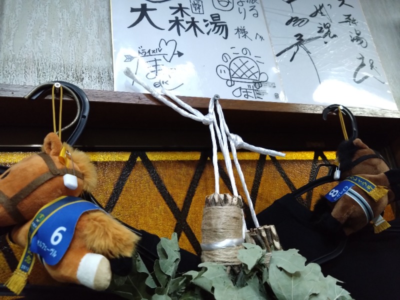 温泉登山トラベラーさんの大森湯のサ活写真