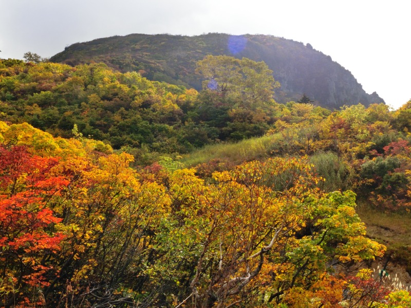 温泉登山トラベラーさんの須川高原温泉のサ活写真