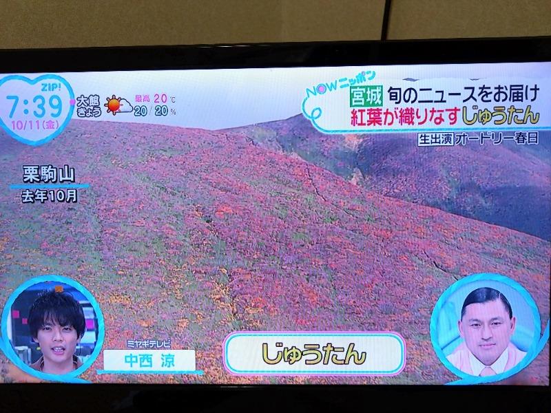 温泉登山トラベラーさんの須川高原温泉のサ活写真