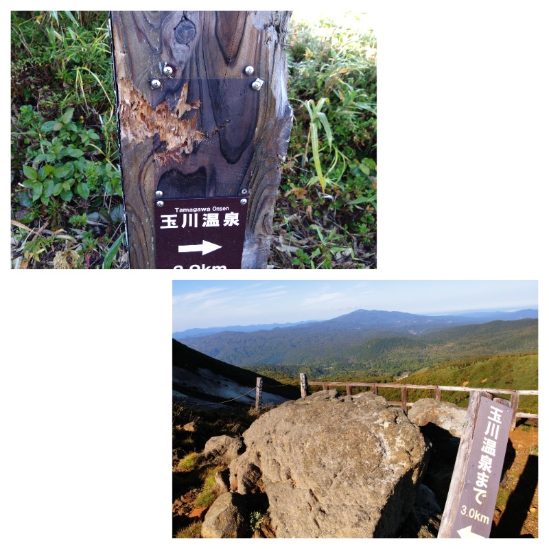 温泉登山トラベラーさんの玉川温泉のサ活写真