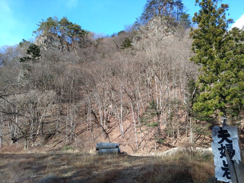 温泉登山トラベラーさんの釈迦の霊泉のサ活写真