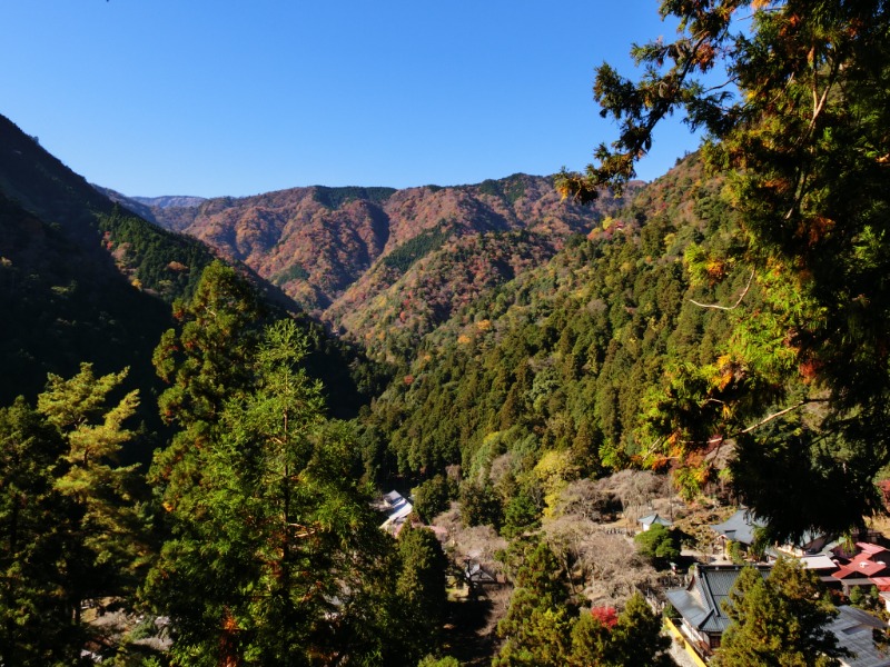 温泉登山トラベラーさんのホテル1-2-3甲府・信玄温泉のサ活写真