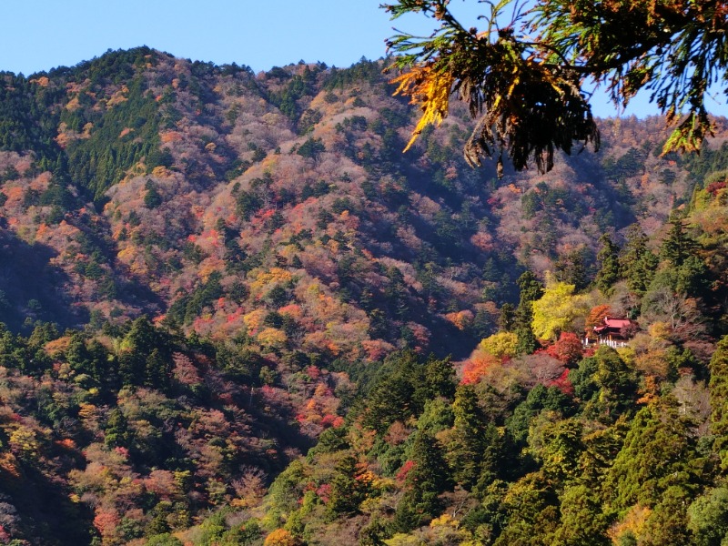 温泉登山トラベラーさんのホテル1-2-3甲府・信玄温泉のサ活写真