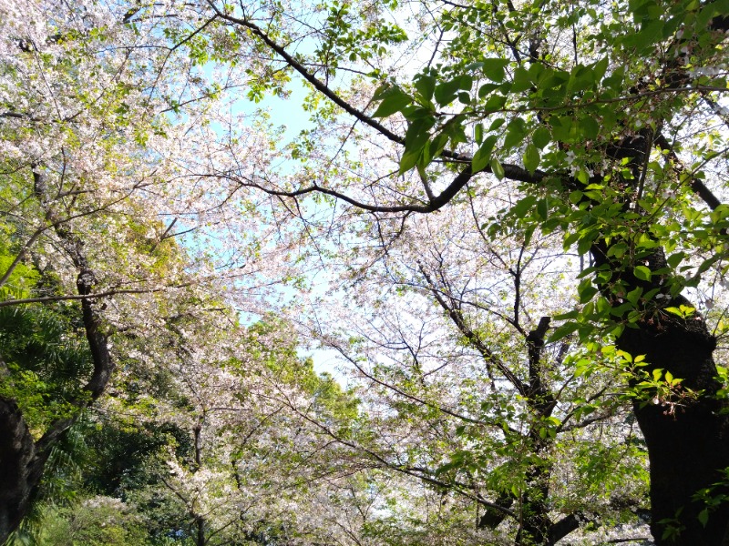 温泉登山トラベラーさんのCOCOFURO かが浴場のサ活写真