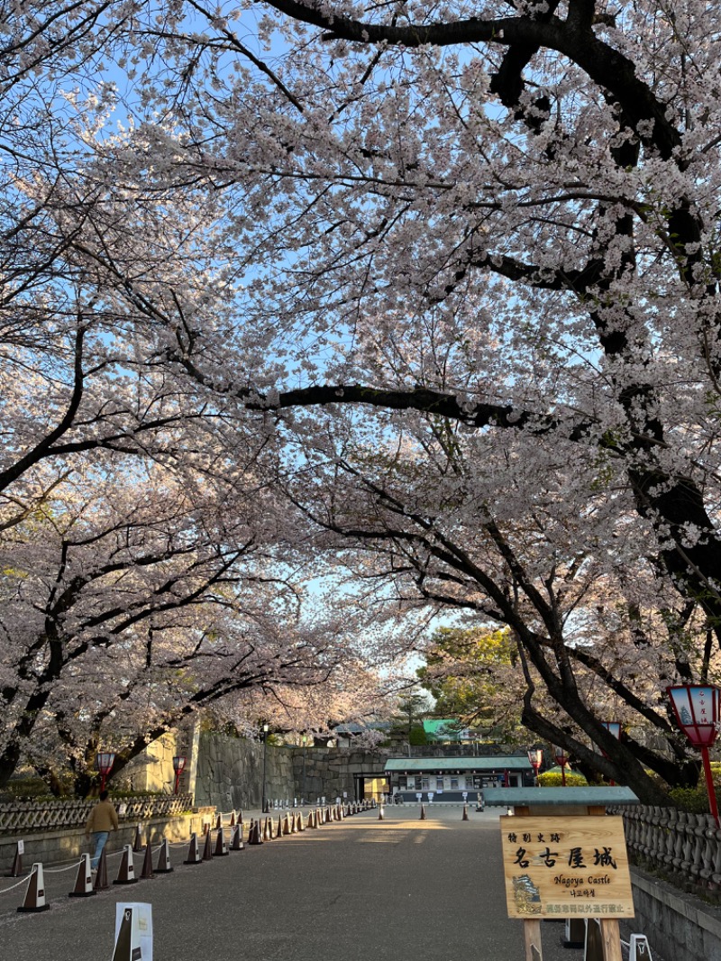 kanzさんの名古屋ビーズホテル らくだの湯のサ活写真