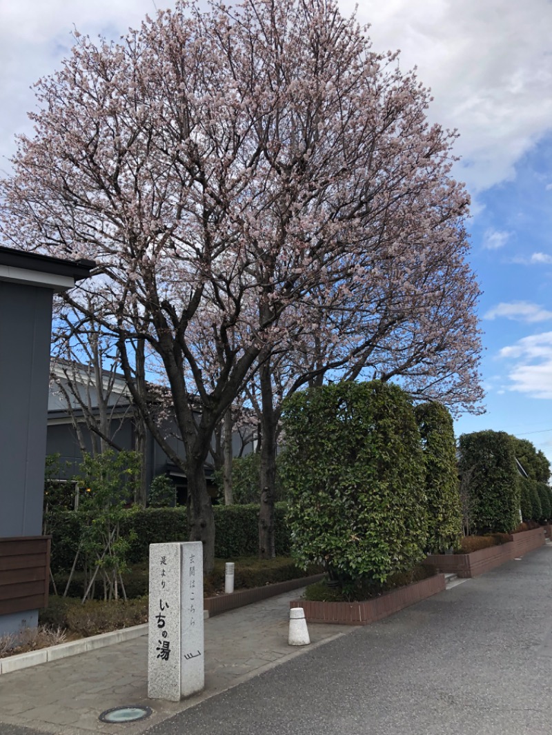 MURさんのいちの湯 古河店のサ活写真