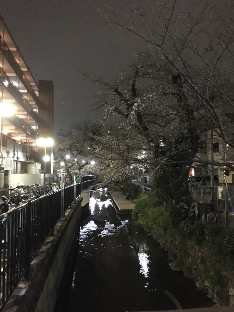 癖毛のアライグマさんの宿河原浴場のサ活写真