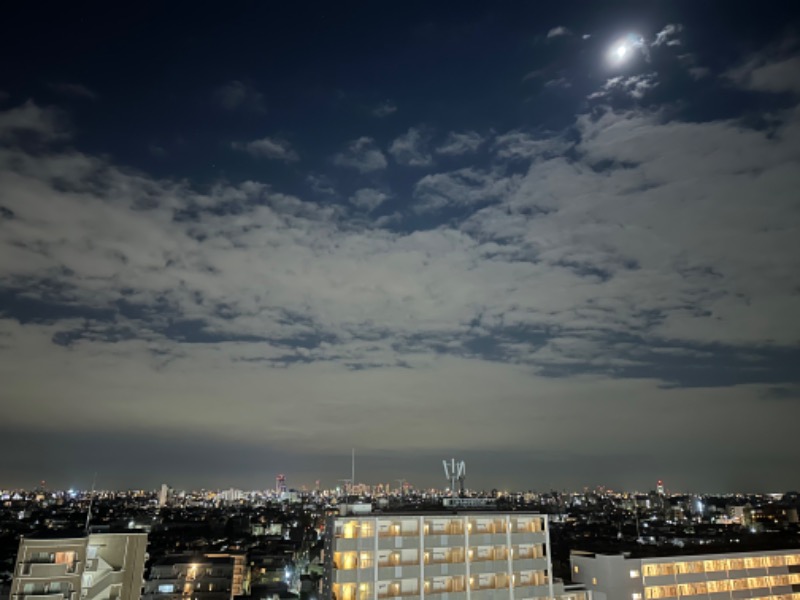 しょうぞうさんの天空のアジト マルシンスパのサ活写真