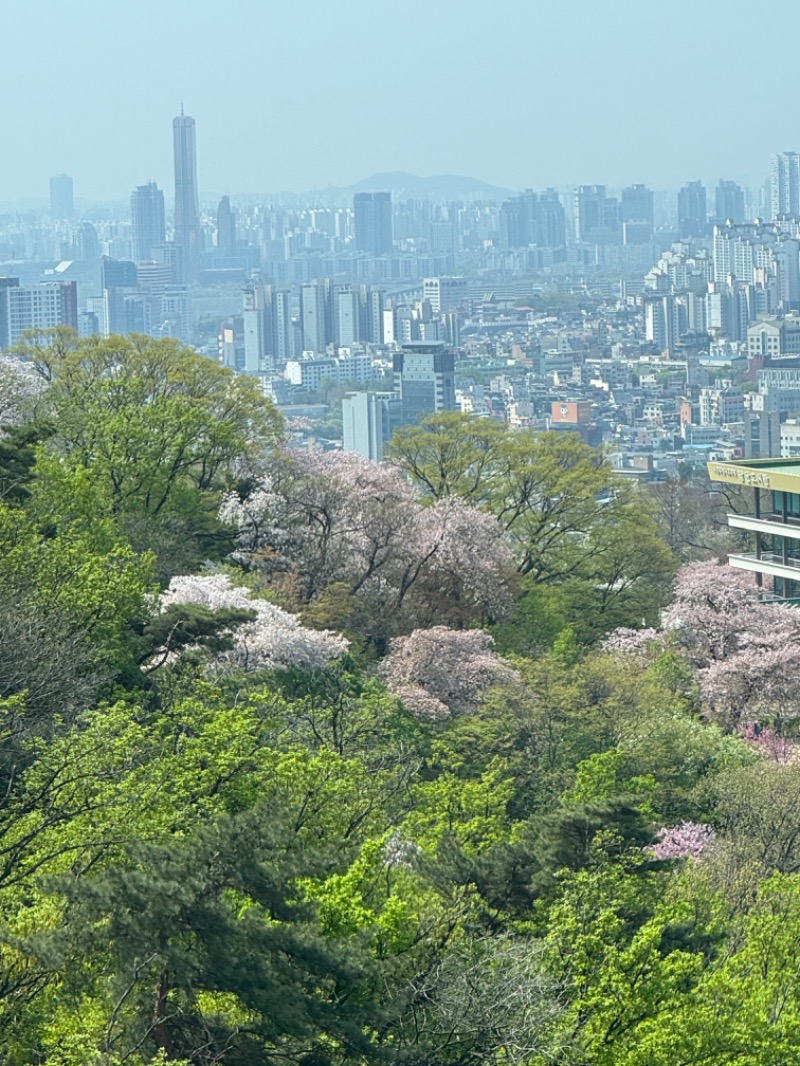 工藤優作（旧姓:いごちょ）さんのウェスティン朝鮮ソウルのサ活写真