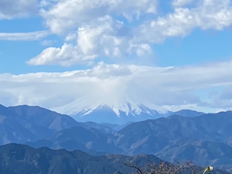 まさうなさんの京王高尾山温泉 極楽湯のサ活写真