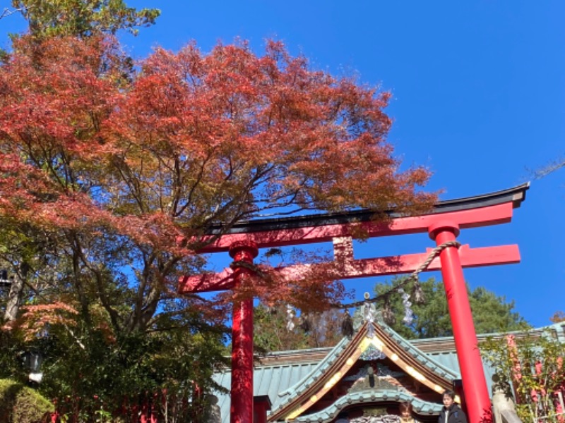 まさうなさんの京王高尾山温泉 極楽湯のサ活写真