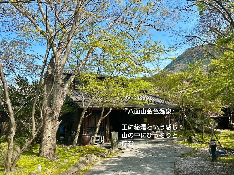 ワニ子さんの八面山金色温泉のサ活写真