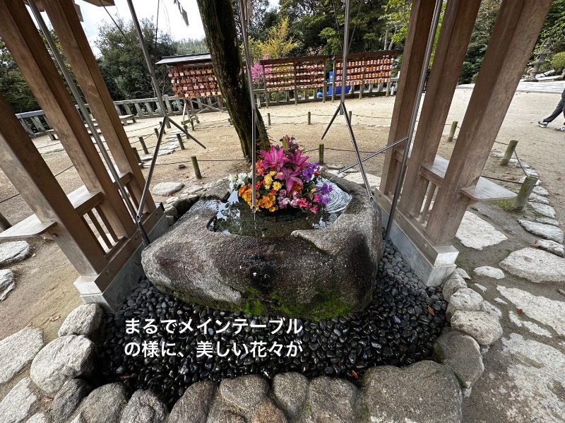 ワニ子さんの源泉掛け流し温泉久留米 游心の湯のサ活写真