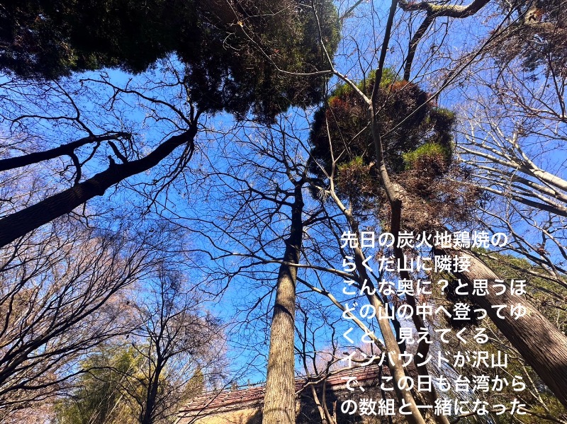 ワニ子さんの南阿蘇 久木野温泉 四季の森のサ活写真
