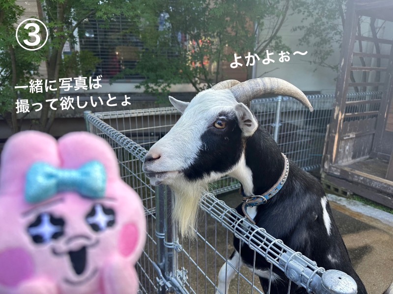 ワニ子さんの島原温泉 ホテル南風楼のサ活写真