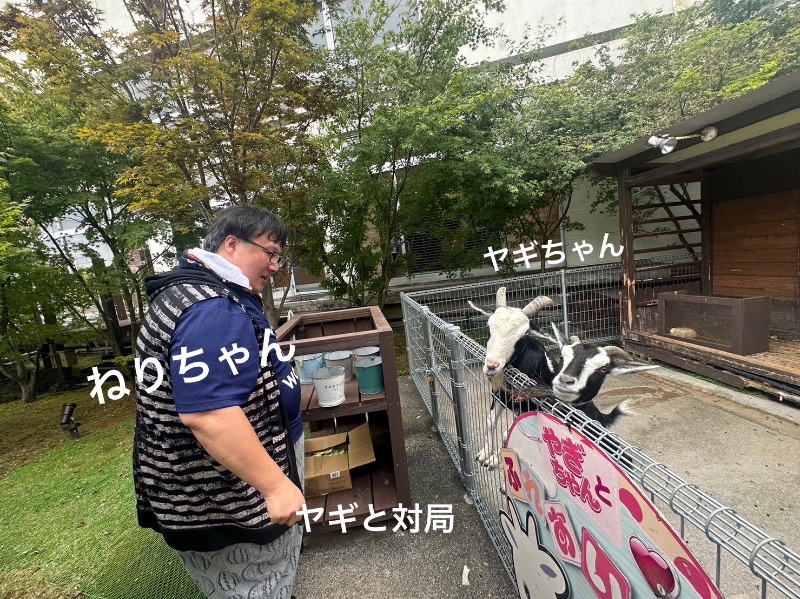 ワニ子さんの島原温泉 ホテル南風楼のサ活写真