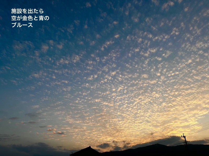 ワニ子さんのはさみ温泉 湯治楼のサ活写真