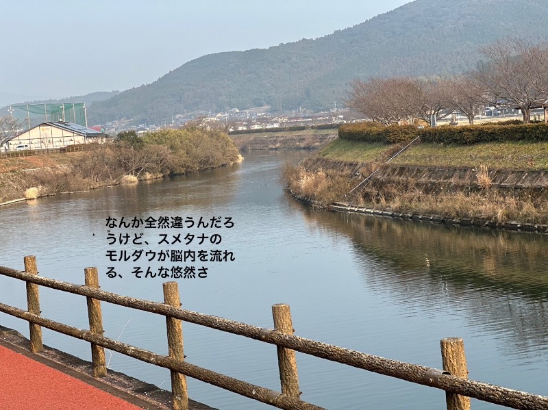 ワニ子さんのはさみ温泉 湯治楼のサ活写真