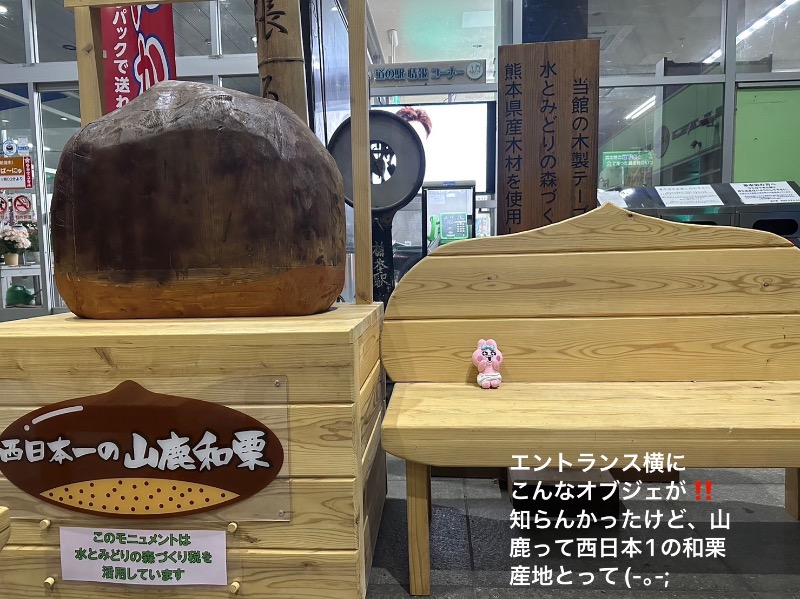 ワニ子さんの天然温泉 湯花里(道の駅 水辺プラザかもと)のサ活写真